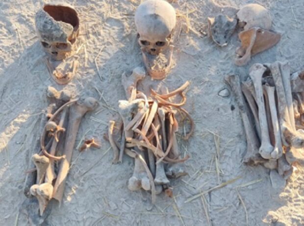 image-1661847378-4499531