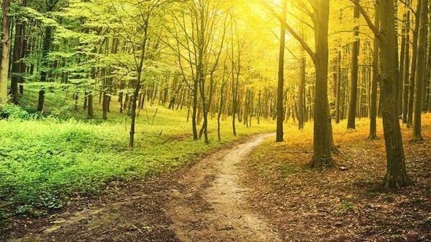 image-1661926343_photo_183312