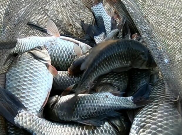 image-1661928573-maxresdefault