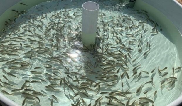 image-1662102935_840381a7-6552-3234-bc5f-406d9849f7f0_850