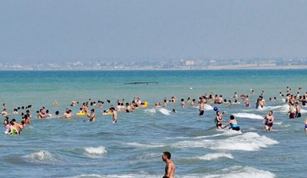 image-1662282270_1562585412697919722_1000x669