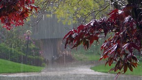 image-1662540540_1509353642_0001