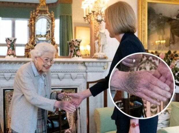 image-1662755872_image_750x_631b7c30b35e9