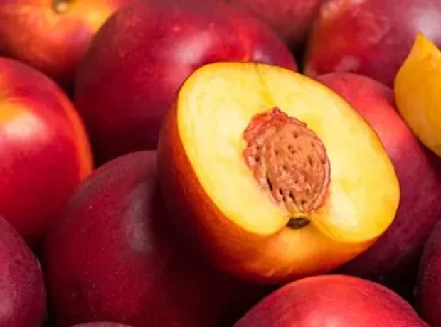 image-1662793030-f48114ba85c7b7fa9043635beefab16f