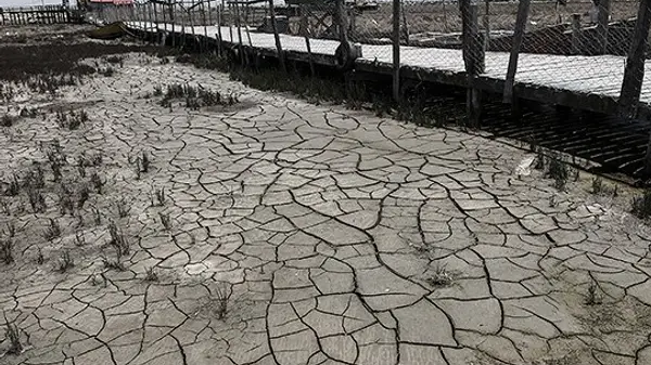 image-1662929736_305979134_455093376673301_1221555845403935245_n