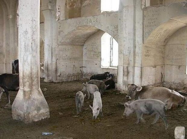 image-1602227266299517877_1000x669