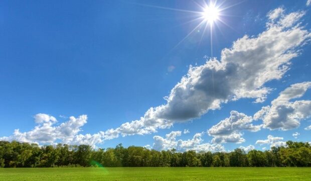 image-1664554249_hava-p-1