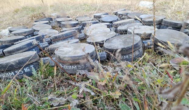 image-1664868544_633bdf98a04a9633bdf98a04aa1664868248633bdf98a04a6633bdf98a04a7