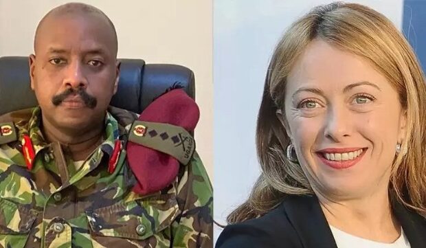 image-1665036950_f8d2f51d-aae4-46c6-bfdb-86e378c99ddf