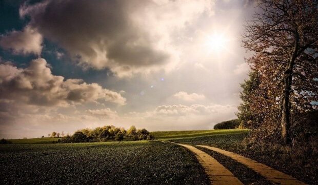 image-1665218414_467739