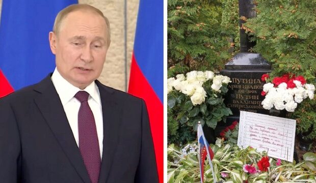 image-1665553011_31e0084b-35fa-487f-8f25-f6da9b07d103