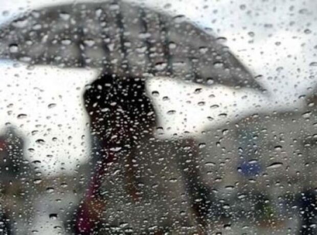 image-1665649975-1596447408-yagislihava