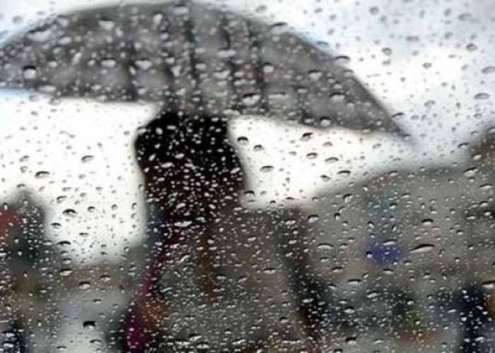 image-1665649975-1596447408-yagislihava