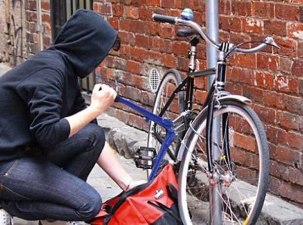 image-1666077547-velo