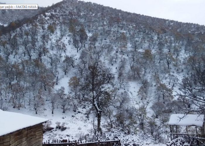 image-1666429644-xxx