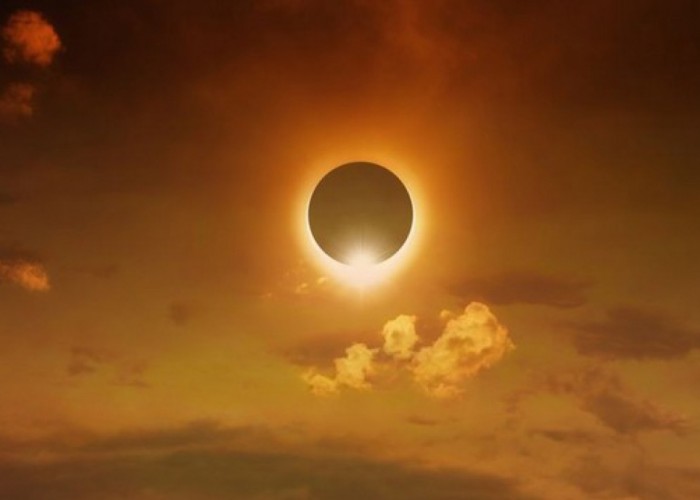 image-1666593021-1638522270425665188_1000x669