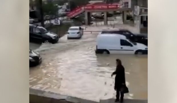 image-1666761123_49ec0154-e838-483d-9fe9-7e21aee5b2e1