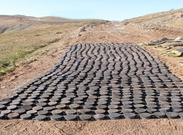 image-b1d87bdd97f51e93795805cd5c30ec86