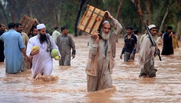 image-1667537636_630_360_1467531650-6258