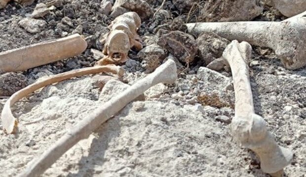 image-1669191757_sumuk