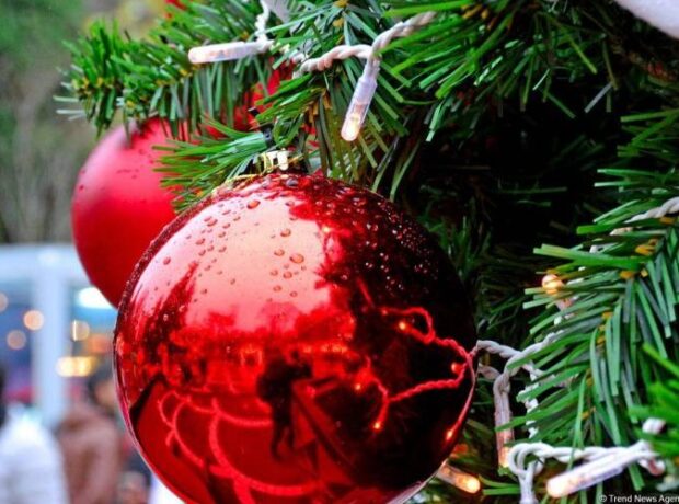 image-1669277606-6555-1607168179