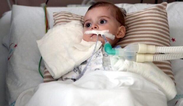 image-1669361500_2021-08-17-12-06-23j7crutlndwa5d1odj8b0_file