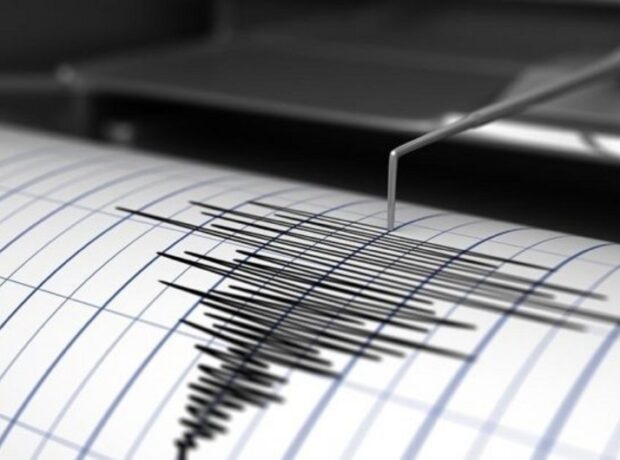 image-d07466fc-19b1-495d-9b49-8b8e0659cc46_850