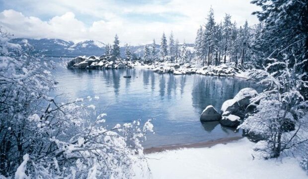 image-1669873323_140277_nt7sxlkzsd