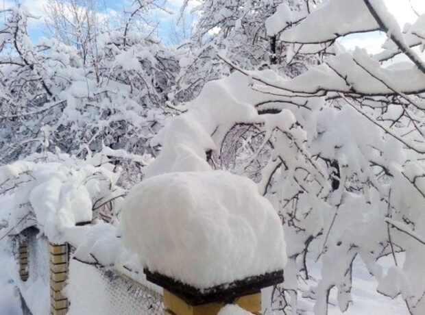 image-1670225229-5bf7c0598d39d_trend_snow_lerik_041215_01
