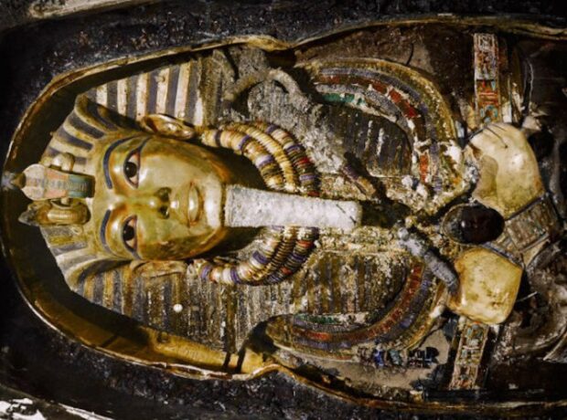 image-1671774393-tut4