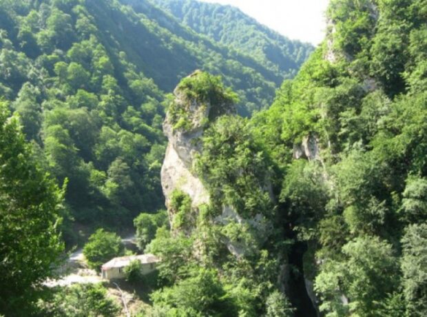 image-1671869635-1671869334
