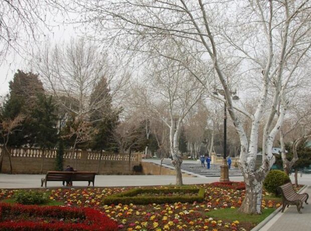 image-hava