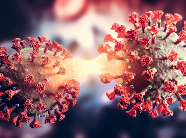 image-1673505588-istock-1336071300