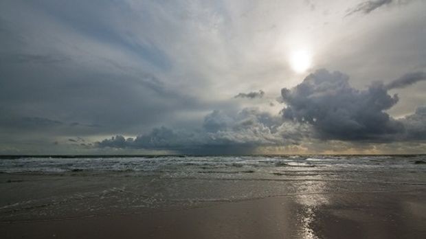 image-1674202393_photo_408484