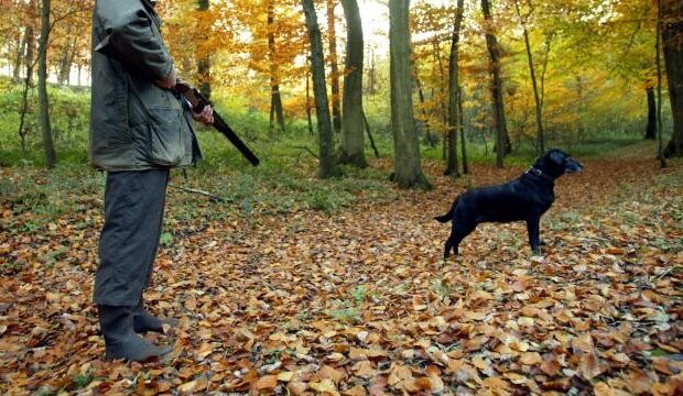 image-1674624386_avci-reu-1984052_2