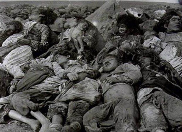 image-4bk17d515469a42y1g_800c450