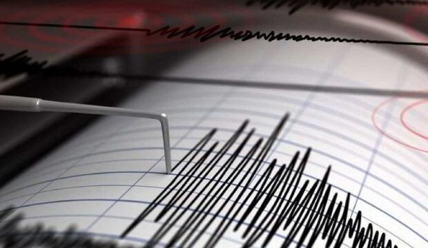 image-1677654855_631d9ec021355631d9ec0213561662885568631d9ec021350631d9ec021353