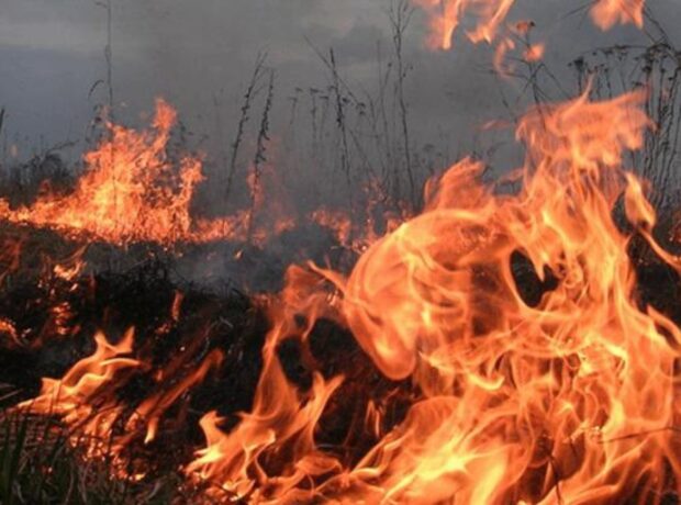 image-1678859265-1628000368