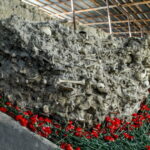image-5c9cd3add7dbb_2016-03-31-00-09-56soy