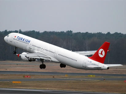 image-turkish_airlines_210813