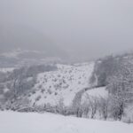 image-1680333032-qar