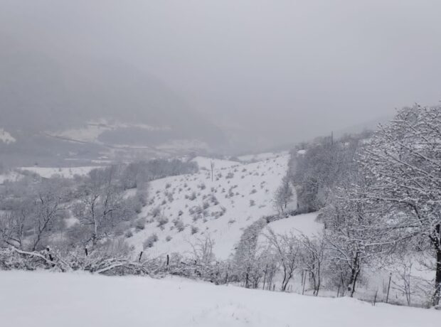 image-1680333032-qar