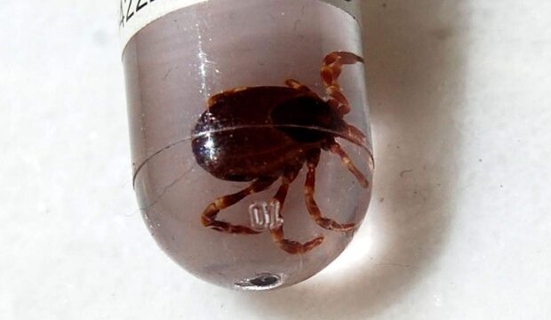 image-1680671073_kene-aa-1581882