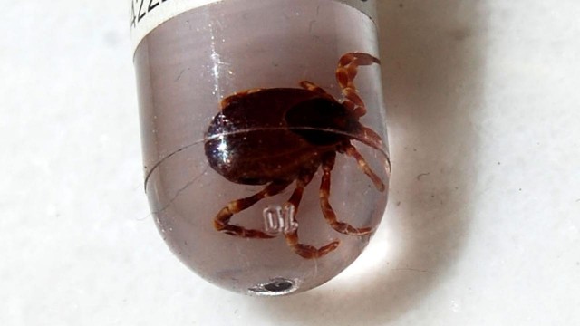 image-1680671073_kene-aa-1581882