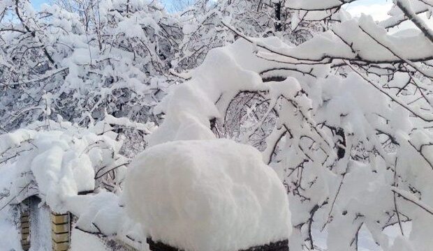 image-1681109603_5bf7c0598d39d_trend_snow_lerik_041215_01