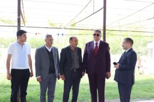 image-48f95a0c-10cd-404e-ac37-335aa18ea4c7