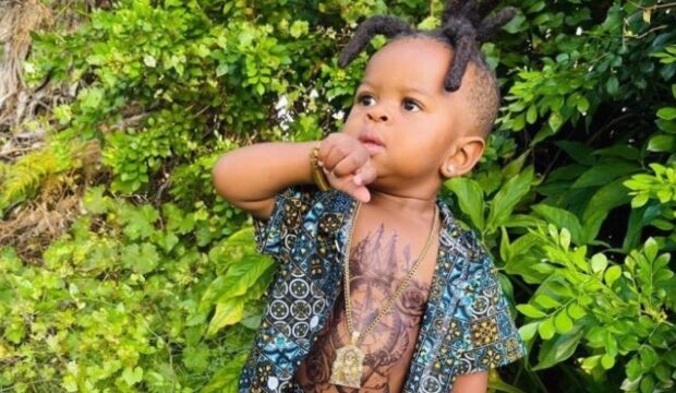 image-1686551545_3599144_80ac97d8cd4f48958e0c10d65cb0d816_1366x1366