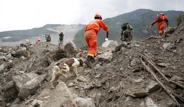 image-1687844534_1474aaf9-1a85-3892-bcfe-6f91ffcb254c_850