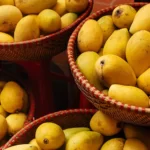 image-mangoes_what_to_know_732x549_thumb-732x549