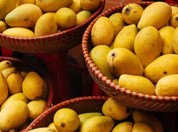 image-mangoes_what_to_know_732x549_thumb-732x549
